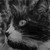 ShonaW :iconshonaw: