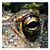 DeviantArt profile picture for @shone on DeviantArt