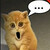 shopedothekat :iconshopedothekat: