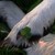 Shortti :iconshortti: