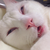 Shumerutsu123 :iconshumerutsu123: