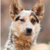 Shurui-Skye :iconshurui-skye: