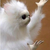 Shwolfi :iconshwolfi: