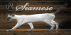 Siamese-Lovers's avatar