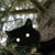 SieIever :iconsieiever: