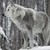 Sierra-Collins :iconsierra-collins: