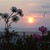 Silvally22 :iconsilvally22: