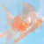 silverarmada :iconsilverarmada: