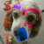 SilverFoxThief :iconsilverfoxthief: