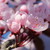 silverhest :iconsilverhest: