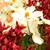 SilverNightSky :iconsilvernightsky: