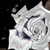 SilverRose8000 :iconsilverrose8000: