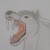 silverstar8 :iconsilverstar8: