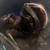 silvertopped :iconsilvertopped:
