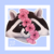 SilviisIrithyl :iconsilviisirithyl:
