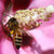 SimplySharon57 :iconsimplysharon57: