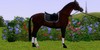 Sims-3-Equestrian-RP's avatar