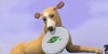 SimsKennelAndStable's avatar