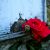 singerofthelob :iconsingerofthelob: