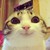 :iconsinsincere: