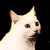 Sk3ll5 :iconsk3ll5: