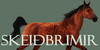Skeidbrimir-Breed's avatar
