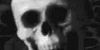 Skeleton-Lovers's avatar
