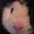 Sker :iconsker: