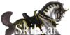 Skibaar's avatar