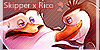 SkipperXRico's avatar