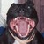 skippypoof :iconskippypoof: