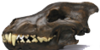 Skull-Children's avatar