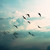 sky0127 :iconsky0127: