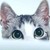 Skyrawathi :iconskyrawathi: