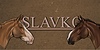 Slavkos