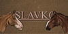 Slavkos's avatar