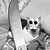 sloshmuseum User Profile | DeviantArt