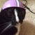 SlothBlossom :iconslothblossom:
