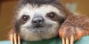 Slothbrain's avatar