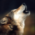 Slushiebeann :iconslushiebeann: