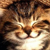 smile-iMight2 :iconsmile-imight2: