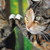 SmillaW :iconsmillaw: