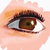 sMital :iconsmital: