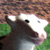 smokeshadows :iconsmokeshadows: