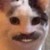 smolscrub :iconsmolscrub: