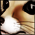 DeviantArt profile picture for @Snowmobile on DeviantArt
