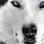 Snowsifter13 :iconsnowsifter13: