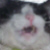 Sockface :iconsockface: