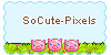 SoCute-Pixels's avatar
