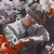 Sofianatalie9 :iconsofianatalie9: